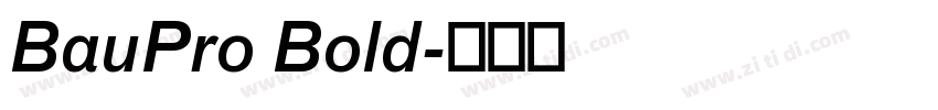 BauPro Bold字体转换